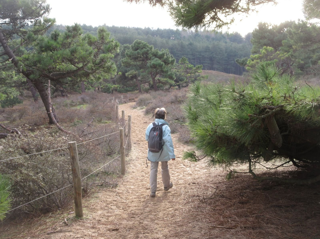 Dunes de la Slack景点图片