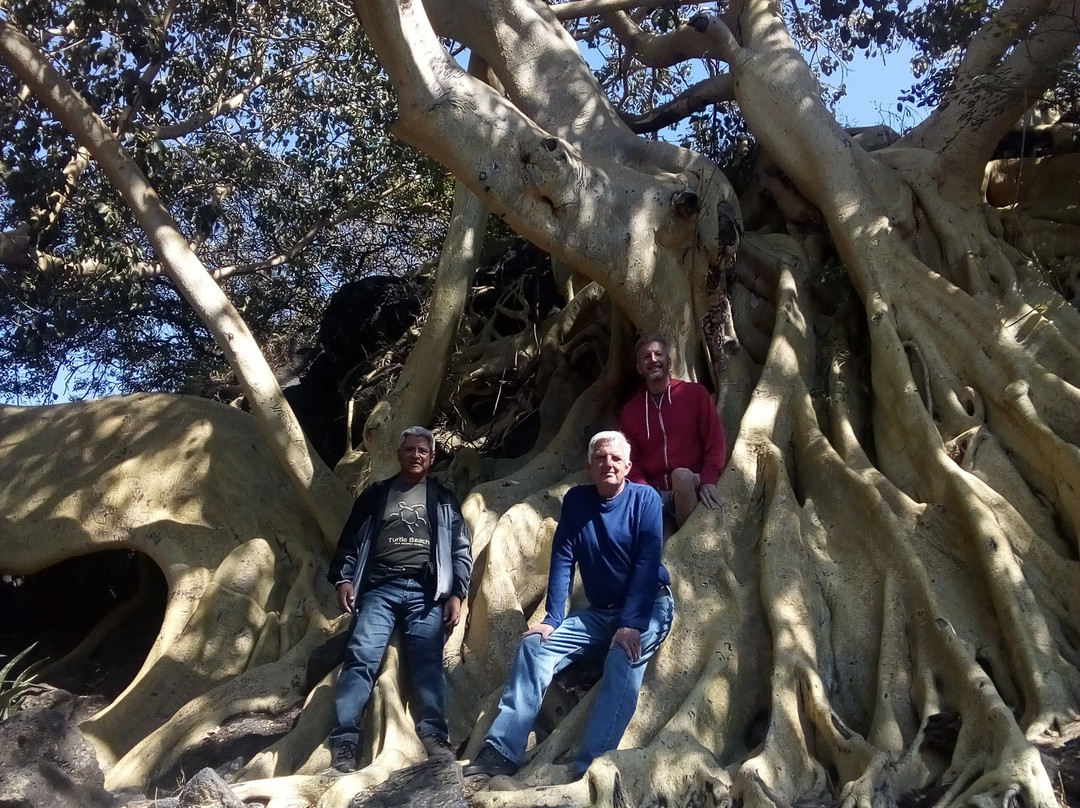 Lake Chapala-Chapala必去景点