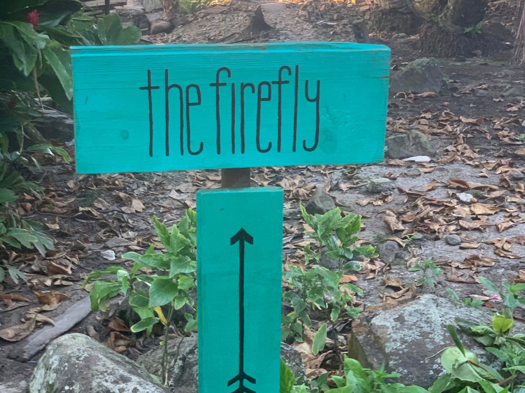 The Firefly Bocas Del Toro主图