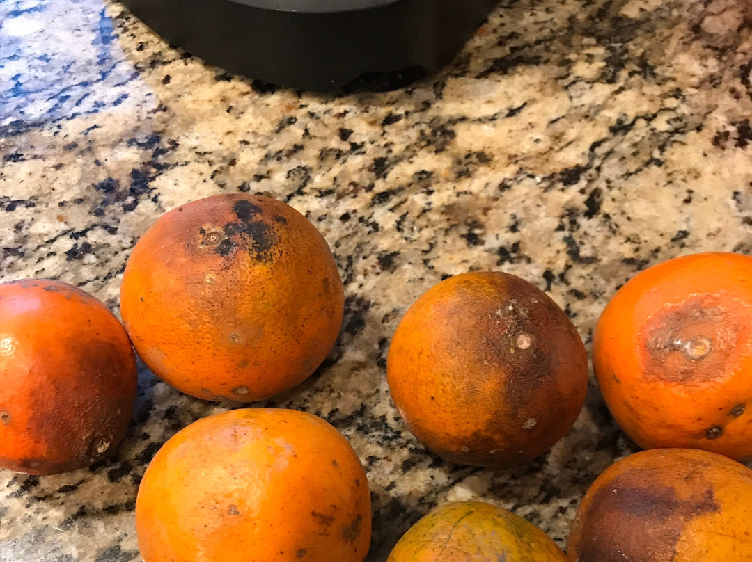 Jennings Citrus-Oxford必去景点