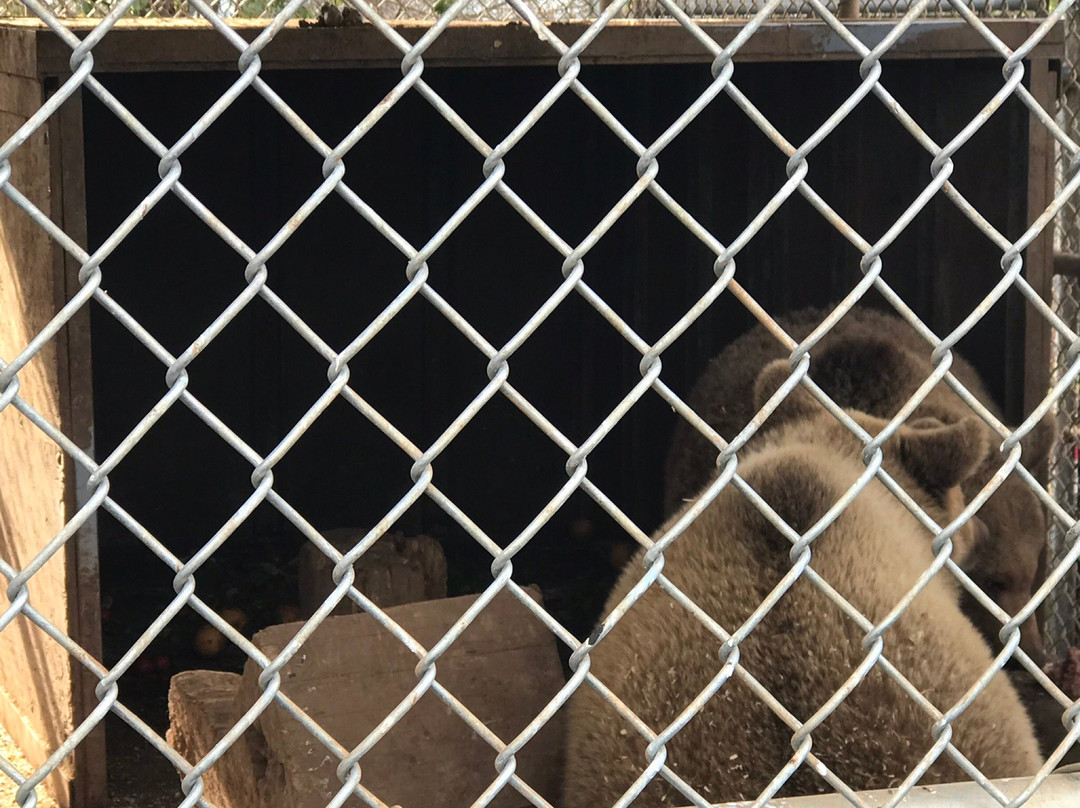 The Barry R. Kirshner Wildlife Foundation景点图片