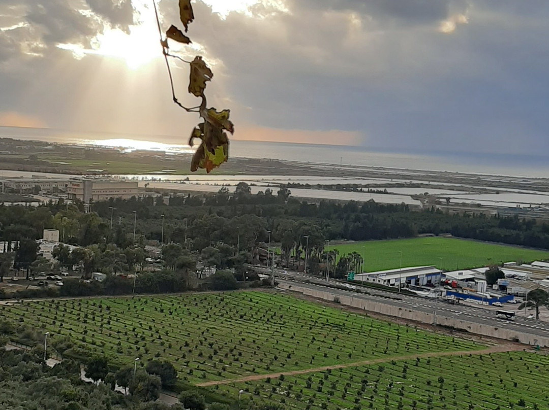 Yama Wine Spa and Suites主图