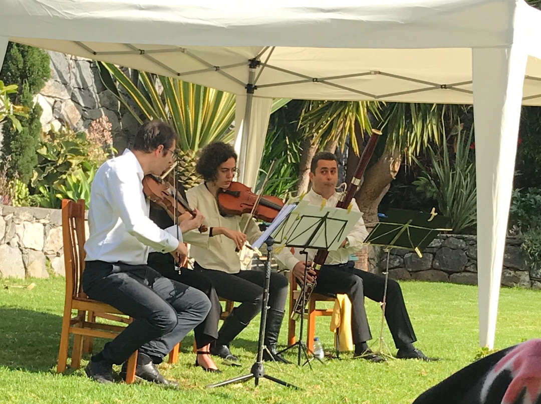Holy Trinity Church-沙尔必去景点