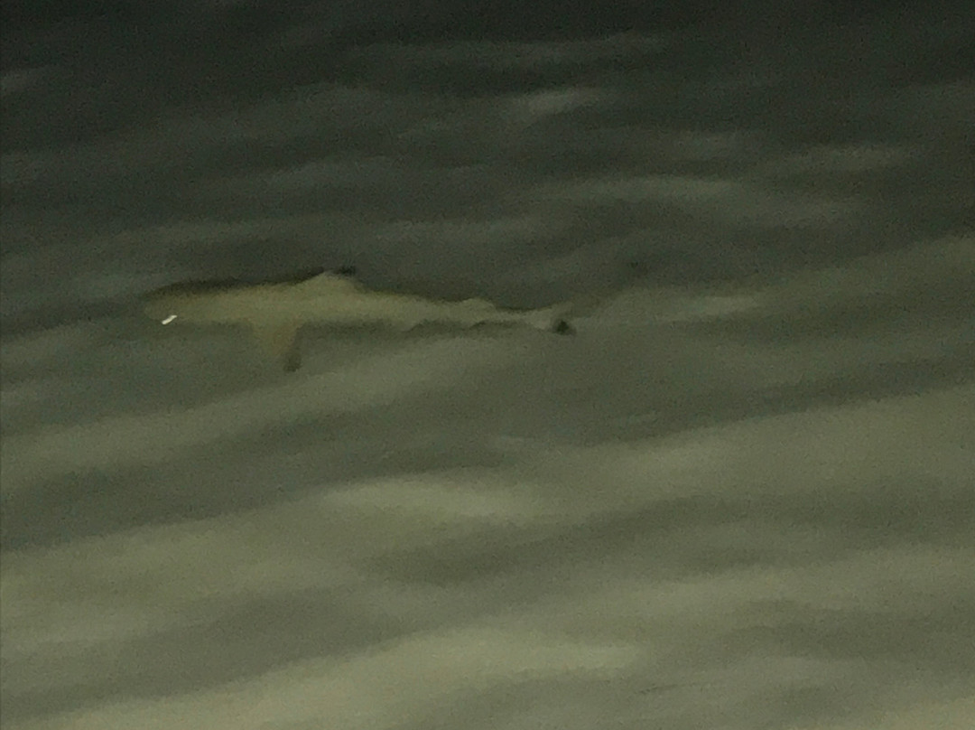 Holiday Village Retreat主图