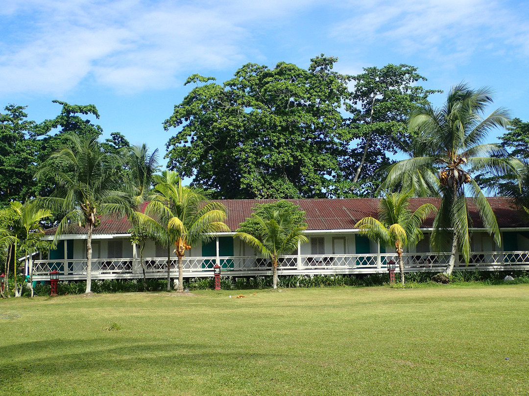 Asana Biak Papua主图