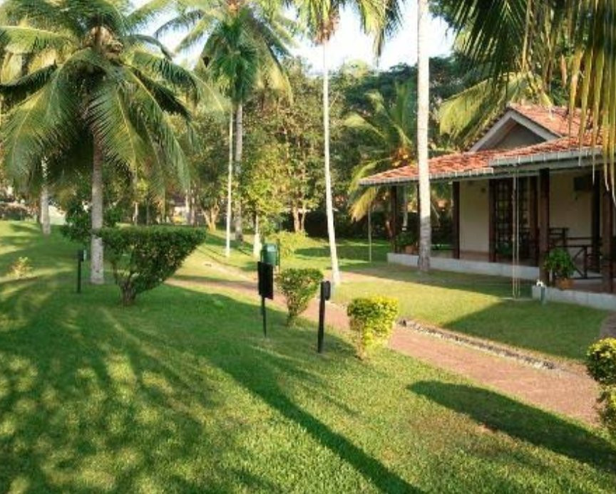 罗望子树酒店主图