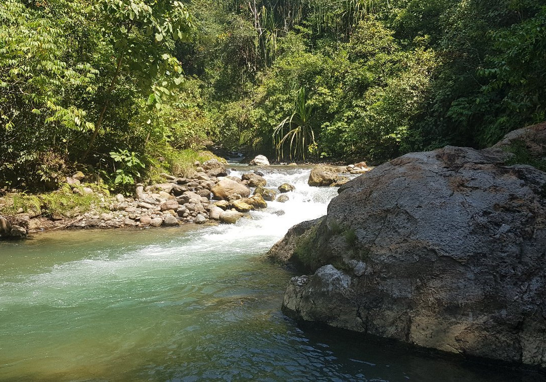 Ketambe Jungle Trekking & Day Tours-Ketambe必去景点