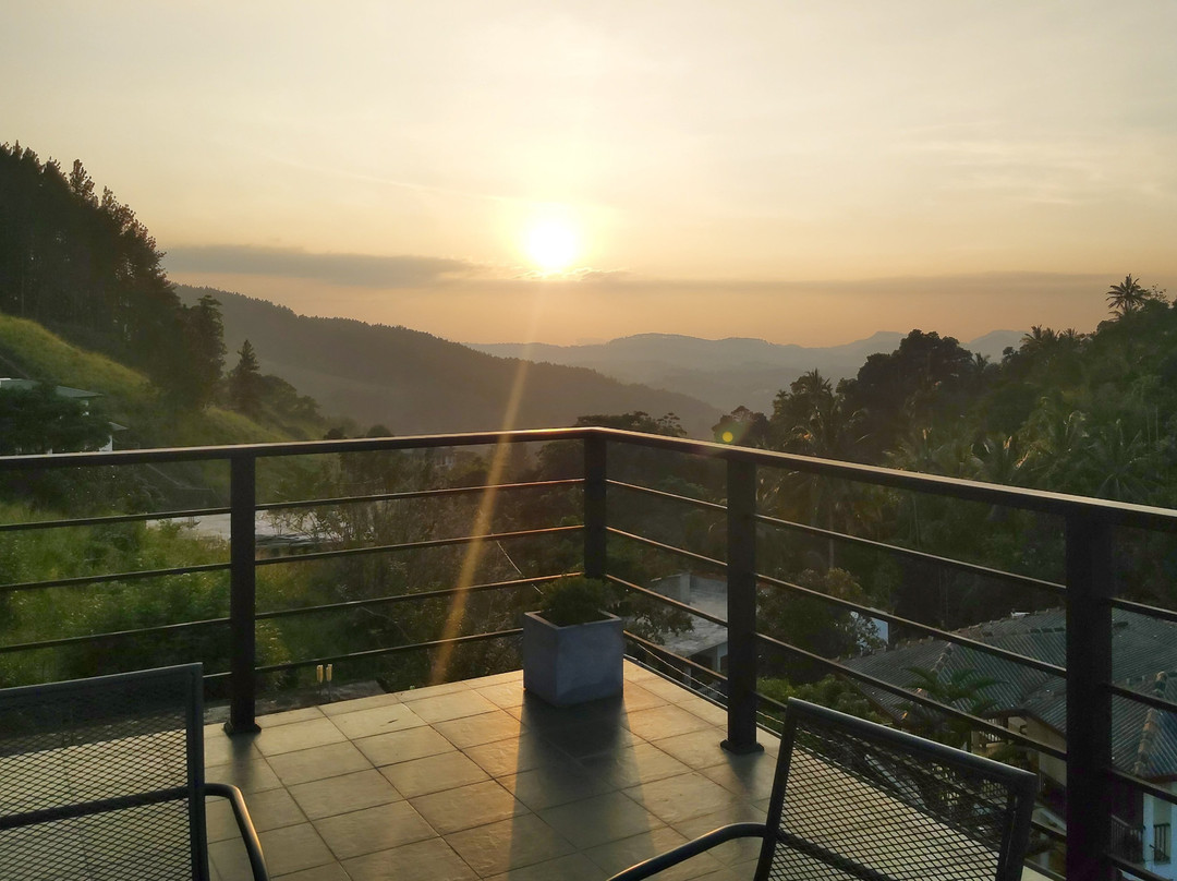 Pine Hill Residence主图