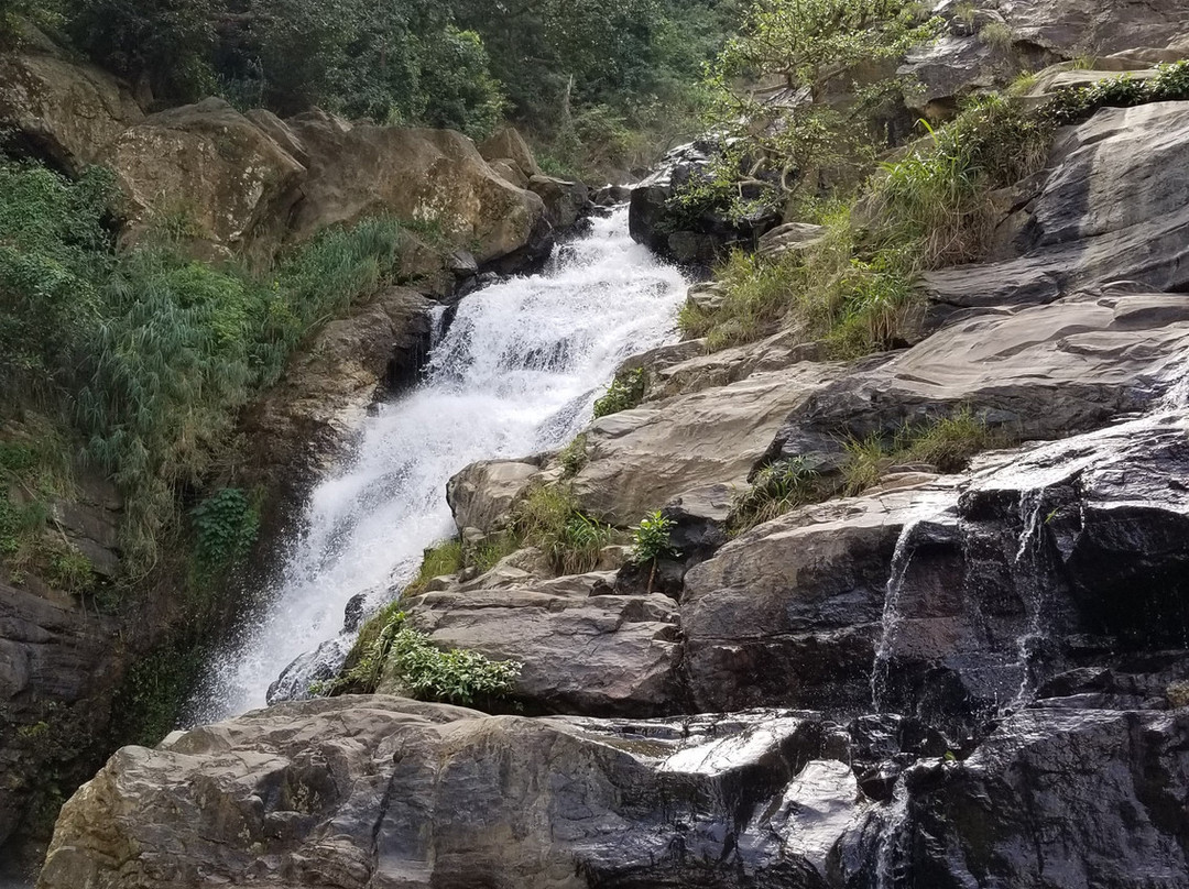 Tour with Rasad-瓦勒迦玛必去景点