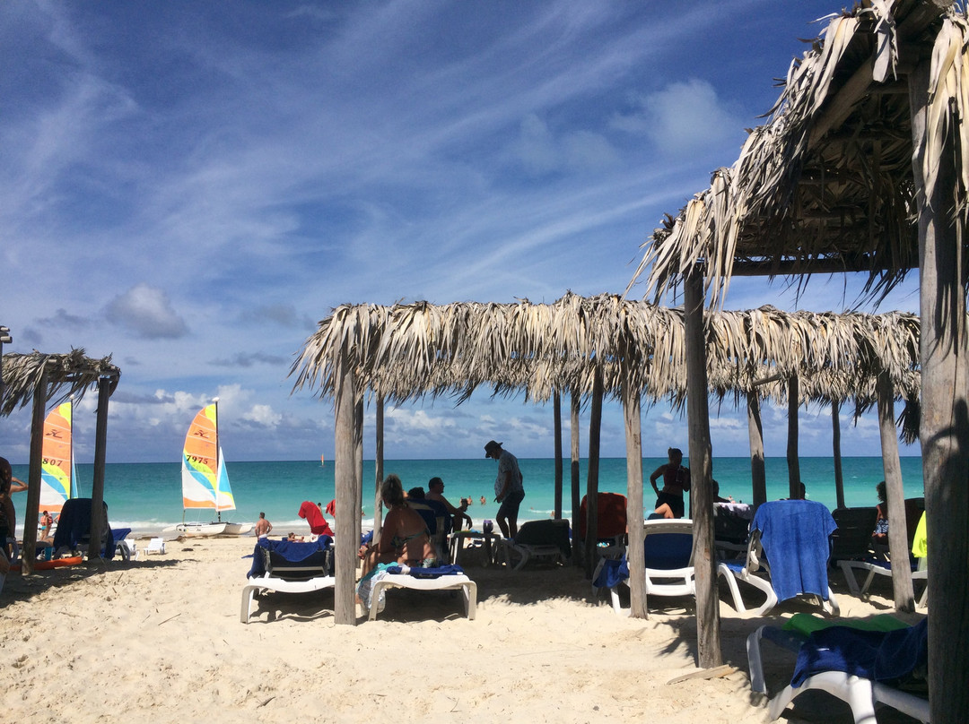 Hotel Playa Cayo Santa María主图