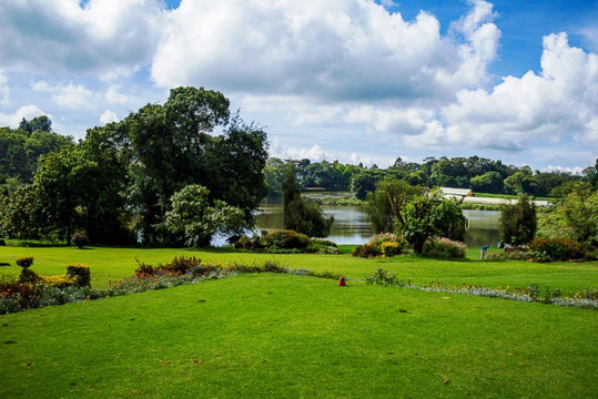 Limuru Country Club-黎木鲁必去景点
