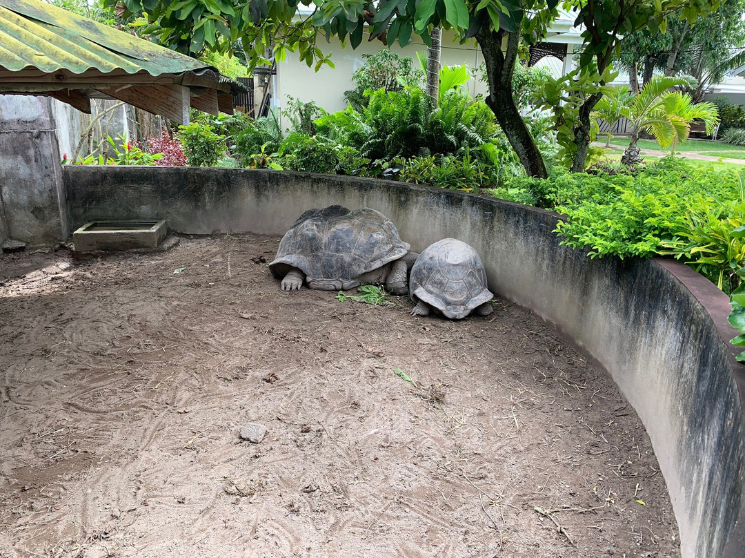 Hotel la Roussette主图