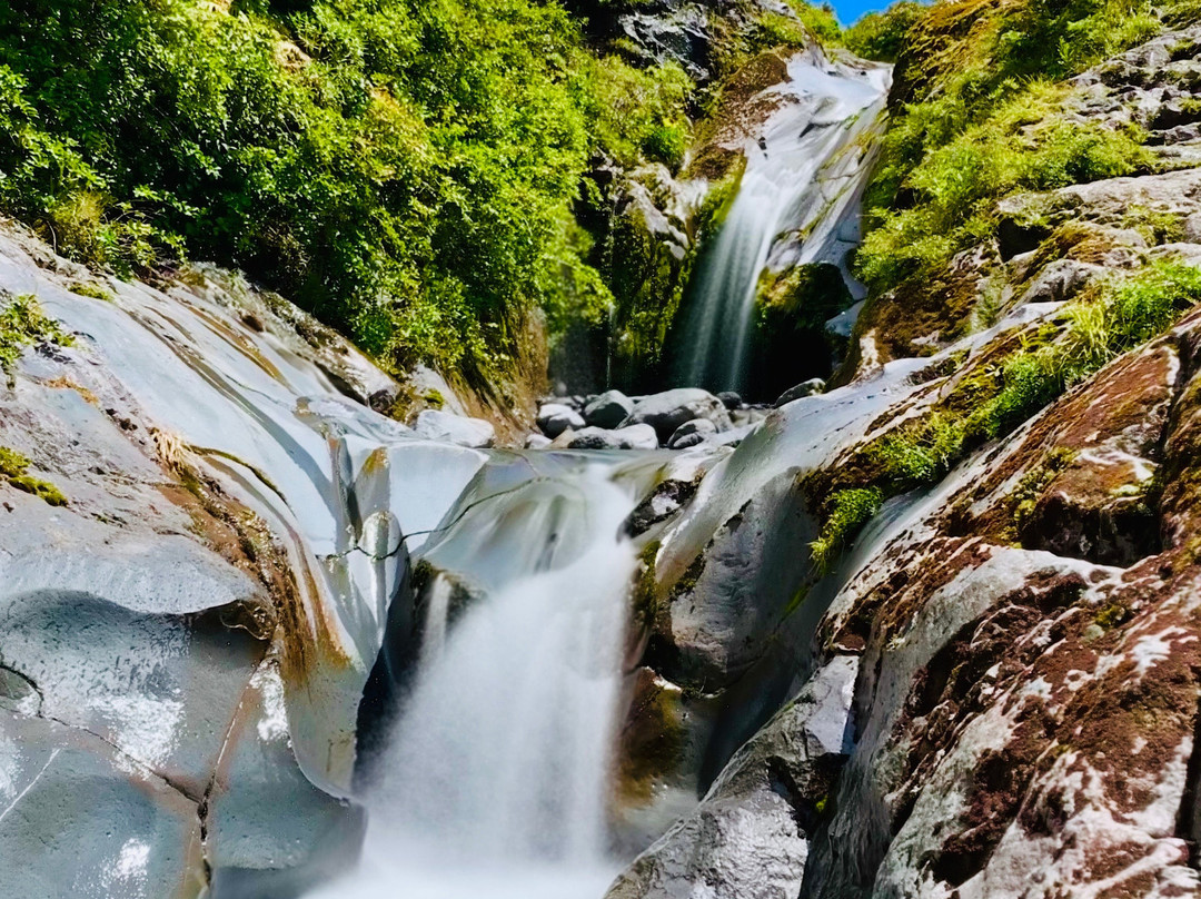 Taranaki Region旅游攻略图片