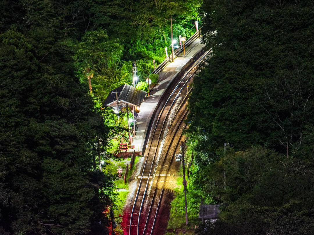 Tsubojiri Station景点图片