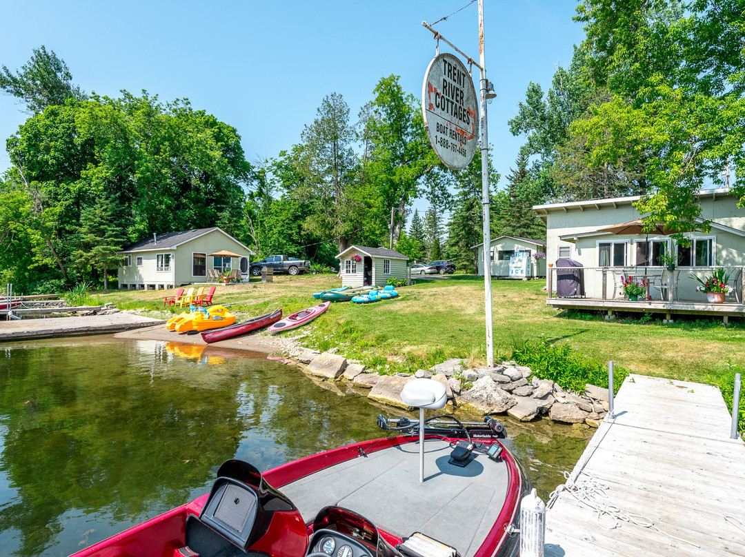 Trent River Cottages