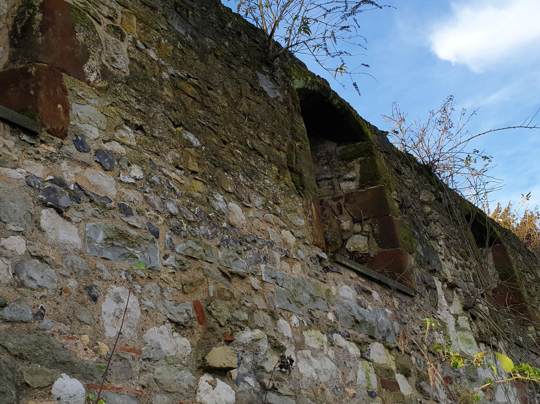 Bishop's Palace-Halling必去景点