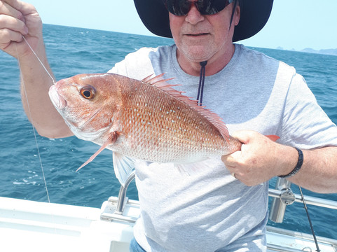 Blue Sea Charters-派希亚必去景点