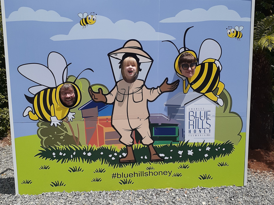 Blue Hills Honey景点图片