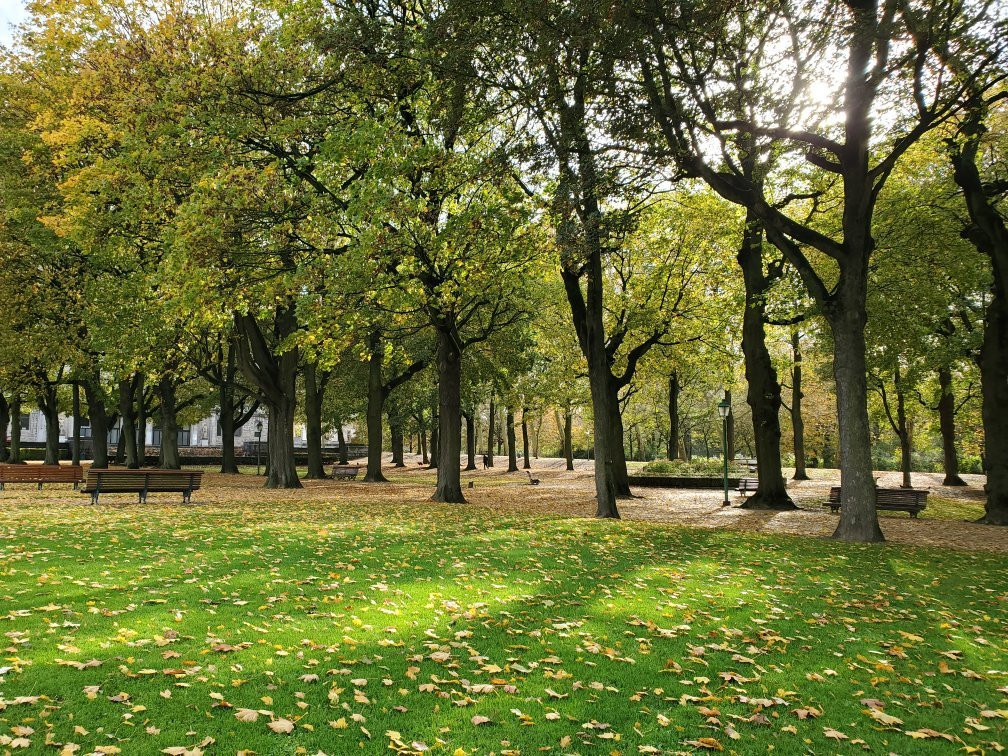 Parc Du Cinquantenaire景点图片