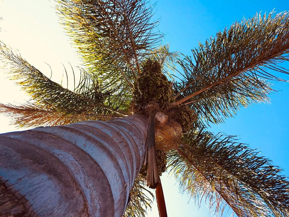 Khayamanzi Guesthouse主图