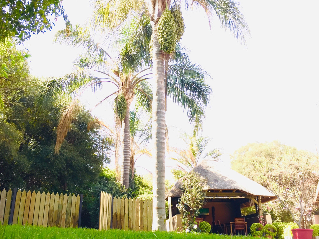 Khayamanzi Guesthouse主图