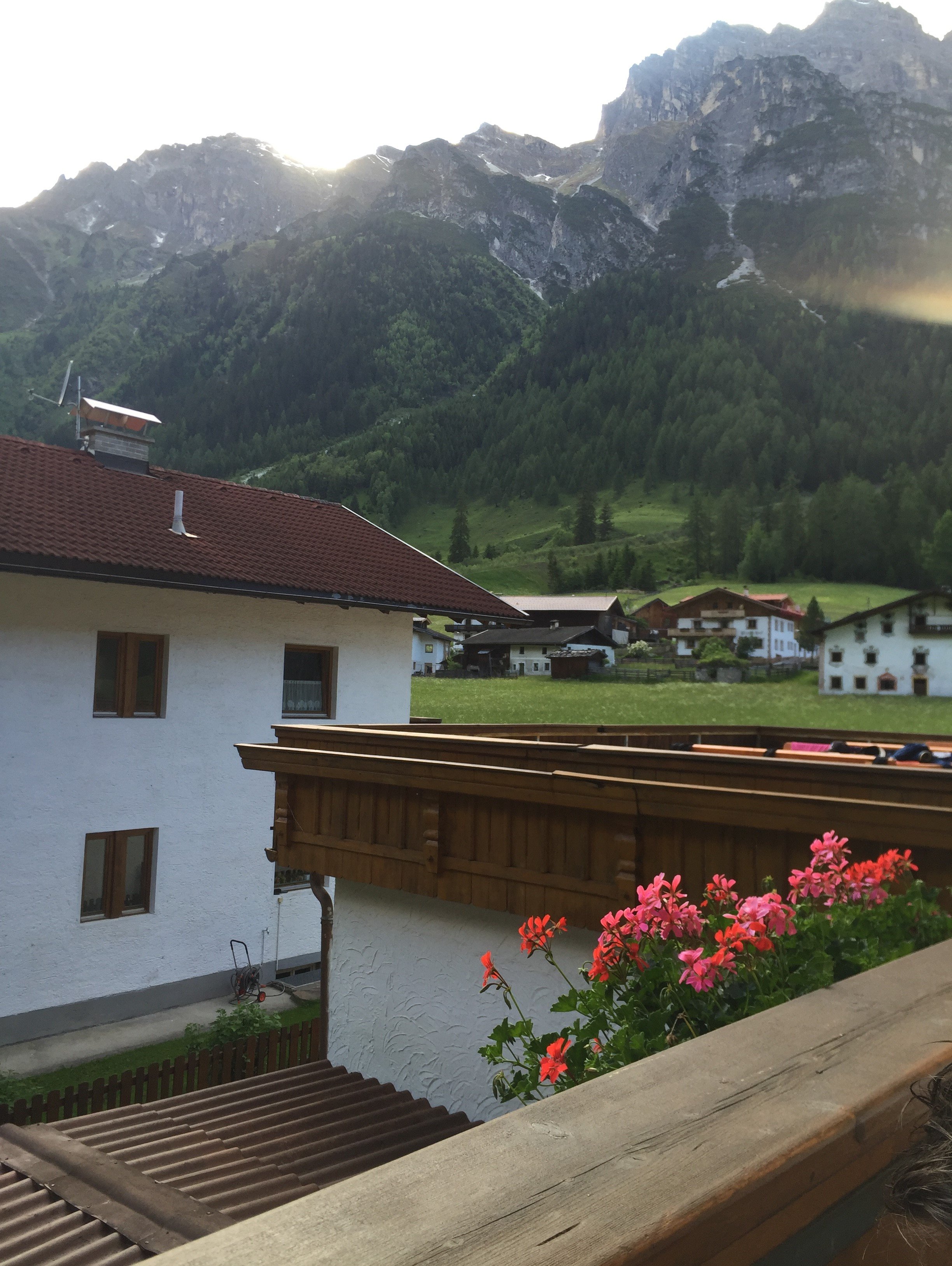 Pension Nina & Gasthof Alpenrose-酒店景观