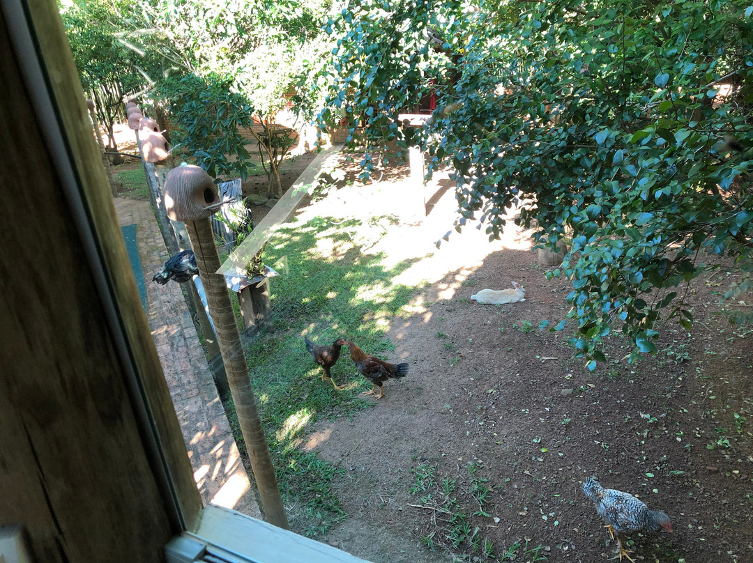 Sao Bras do Suacui旅游攻略图片