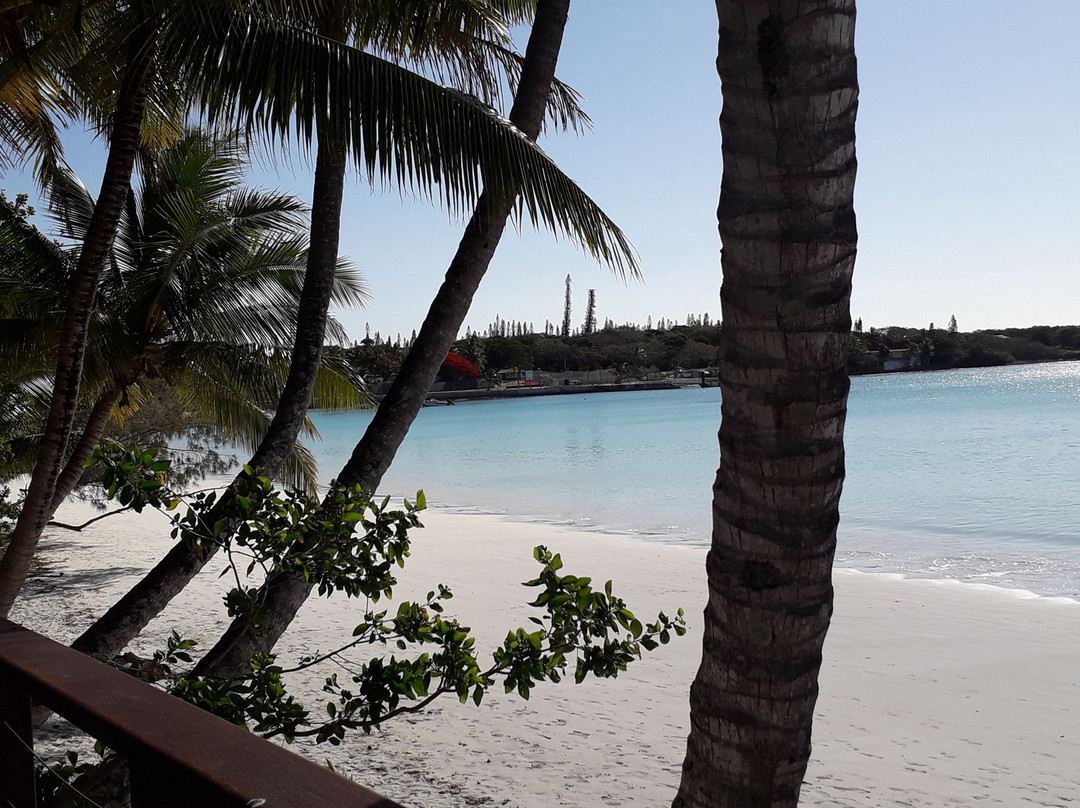 Gite NATAIWATCH主图