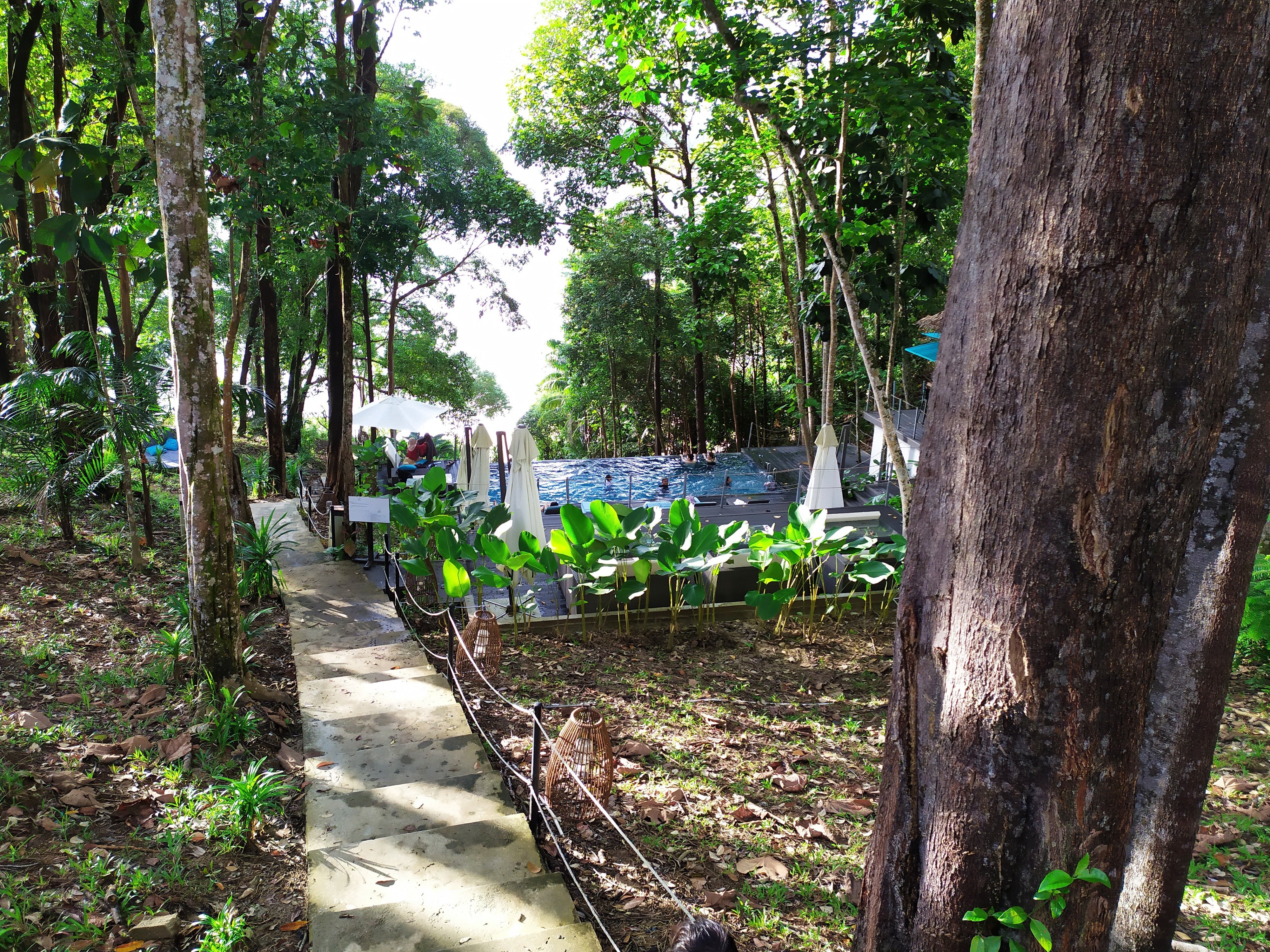 The Culvert Hotel Resort Kuching-泳池