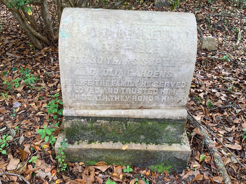 Audubon Swamp Garden, at Magnolia Plantation and Gardens-查尔斯顿必去景点