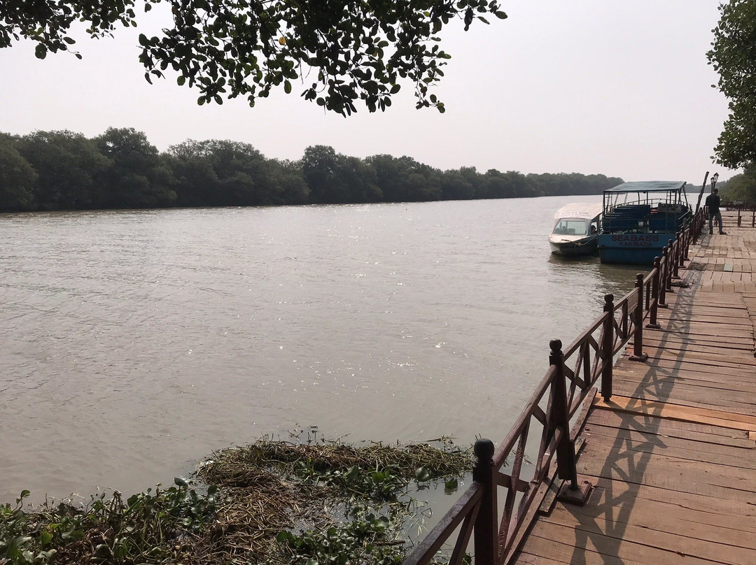 Coringa Wildlife Sanctuary景点图片