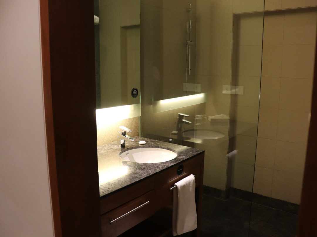 Hyatt Place Hampi主图