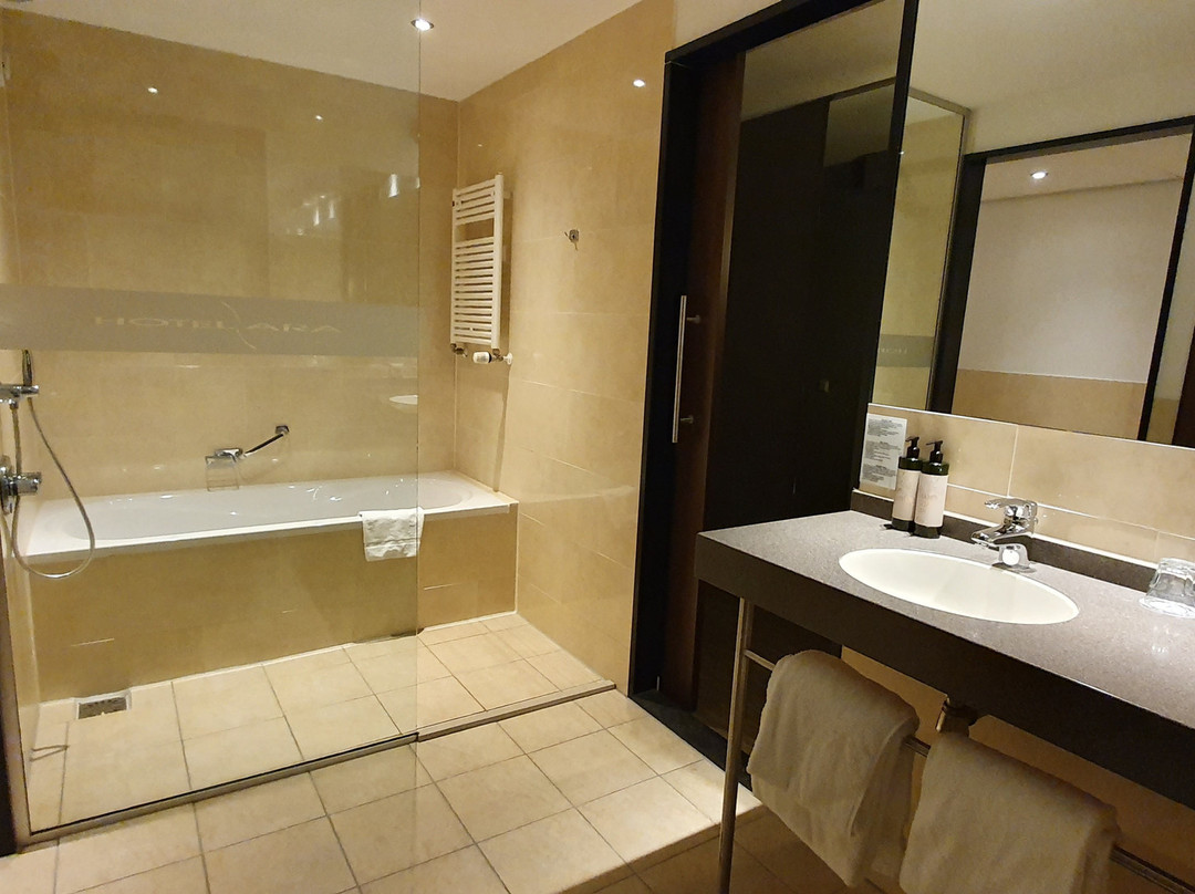 Van der Valk Hotel ARA主图