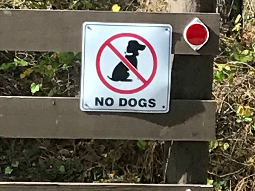 Lake May Reserve-Eustis必去景点