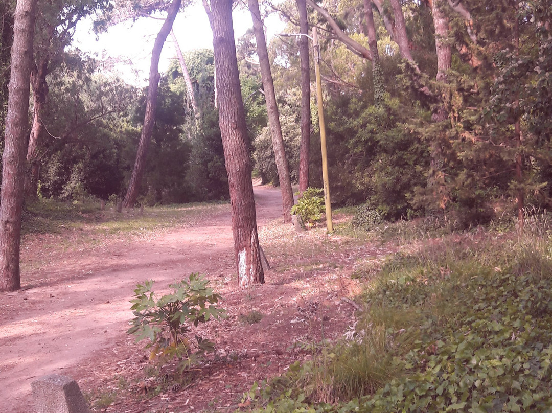 La Casa de Carlos Gesell-Villa Gesell必去景点