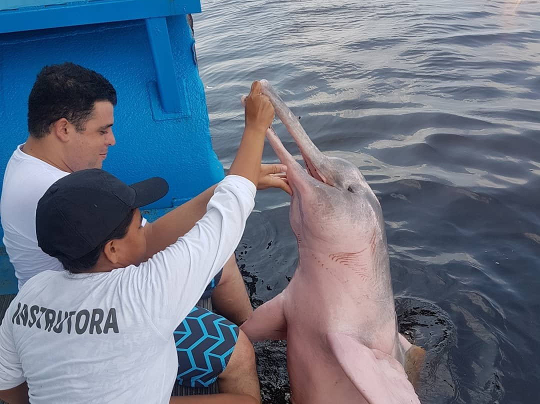 Pink Dolphins Floating Platform-Novo Airao必去景点