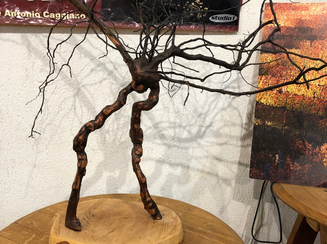 Cantine Antonio Caggiano-Taurasi必去景点