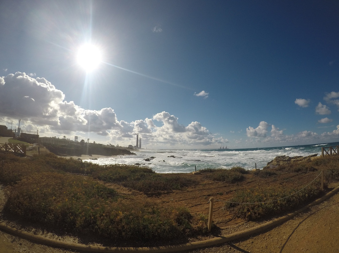 Israeli Guide Ltd-特拉维夫必去景点