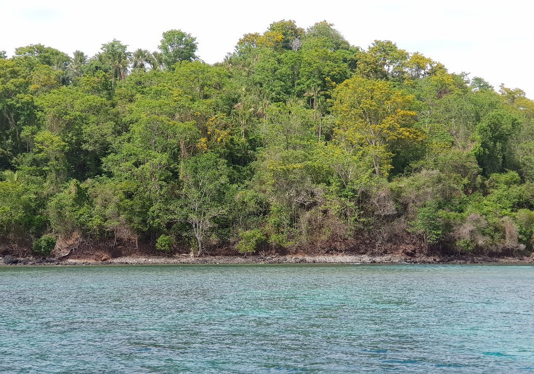 Lembeh Strait景点图片