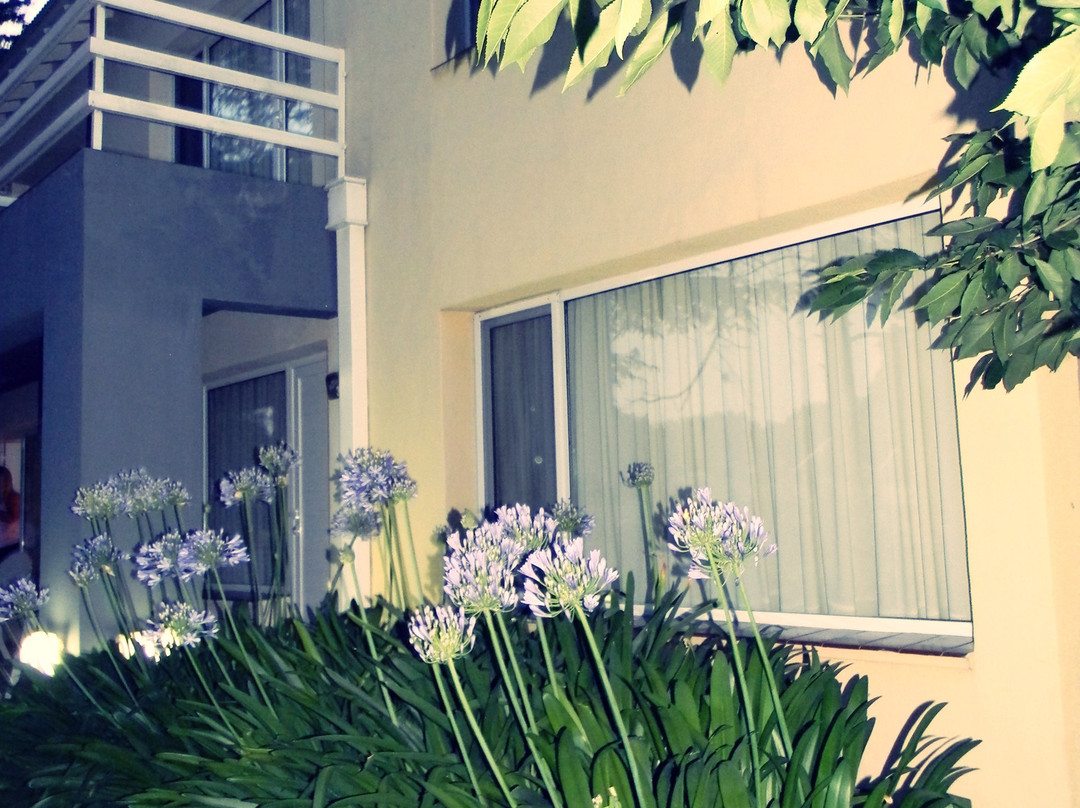 Apart Hotel Naga Huel主图