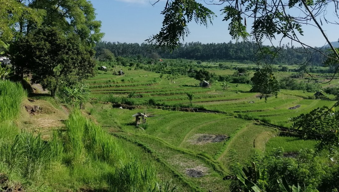 巴厘岛日间徒步游景点图片
