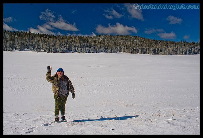 Kaibab National Forest-Jacob Lake必去景点