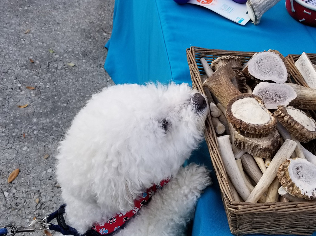 Winter Park Farmer's Market景点图片