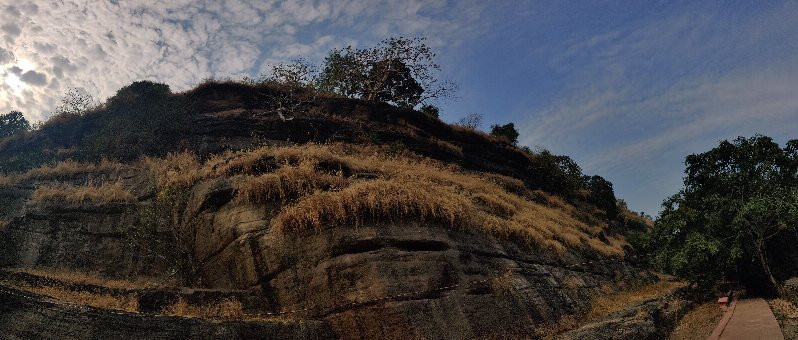 Udaygiri Caves景点图片