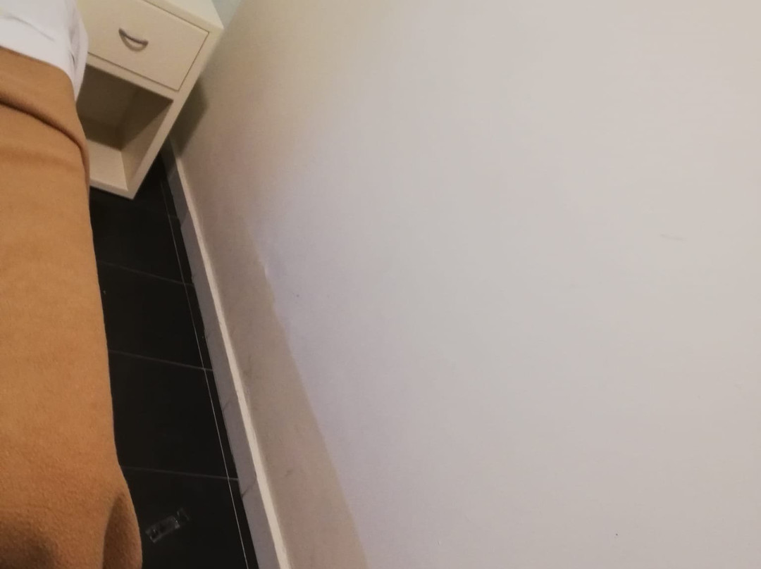 塞维利亚圣维森特 2 号旅馆主图