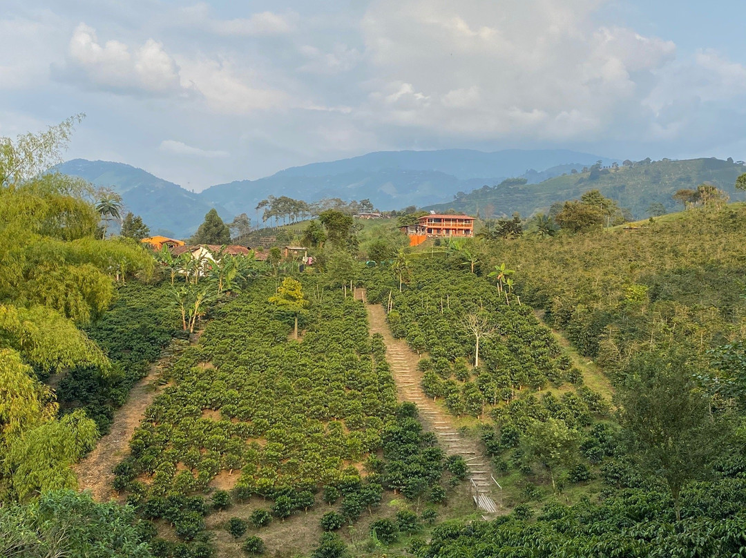Tour Del Café - Finca Del Café-Santa Rosa de Cabal必去景点