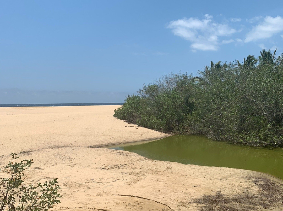 Playa Mayto-Cabo Corrientes必去景点