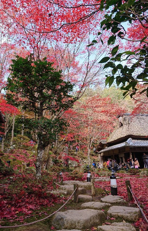 Kyorimbo Temple-近江八幡市必去景点