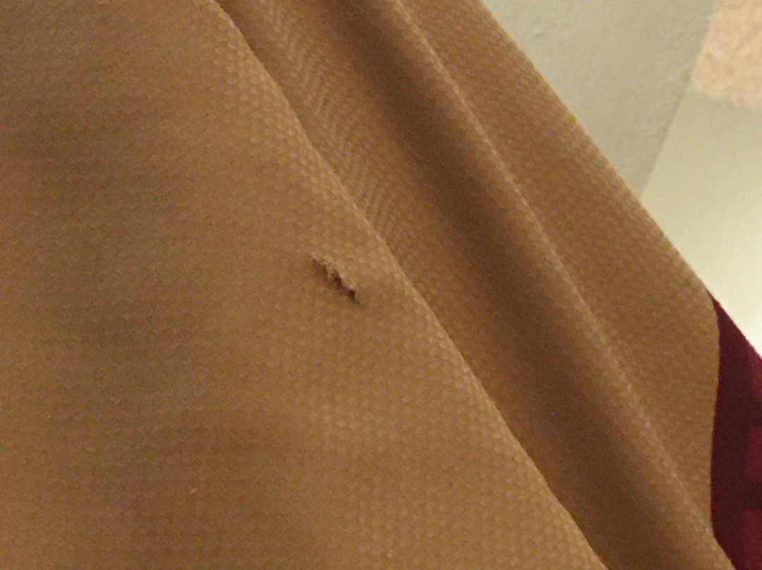 Econolodge Port Canaveral Area主图