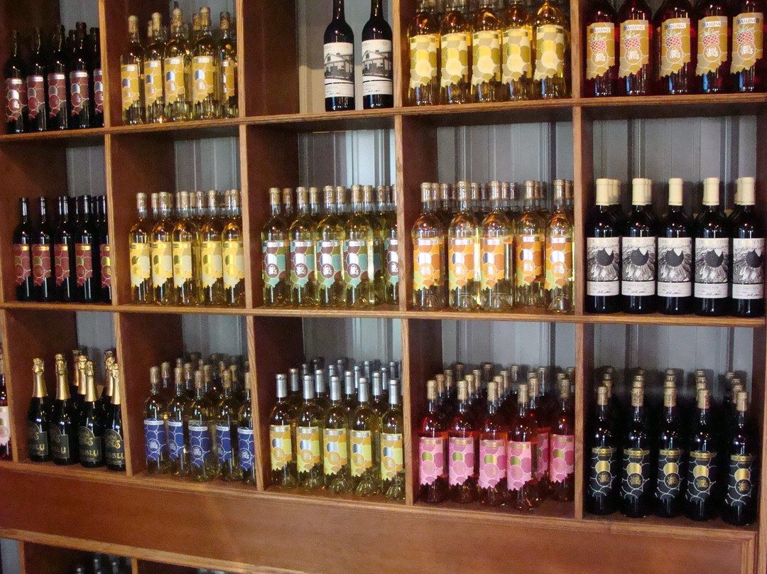 Urban Vines Winery & Brewery Co.-Westfield必去景点